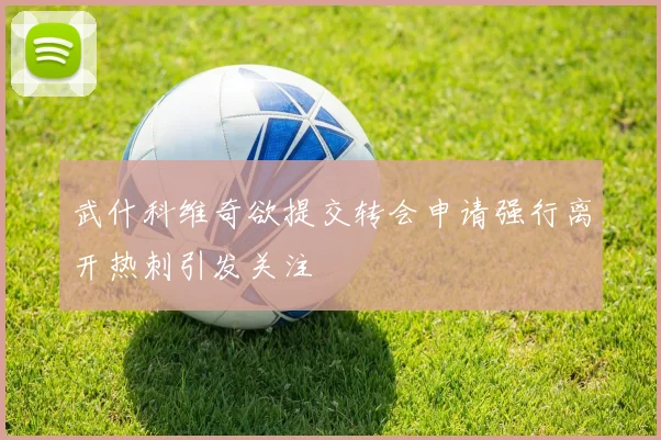 武什科维奇欲提交转会申请强行离开热刺引发关注