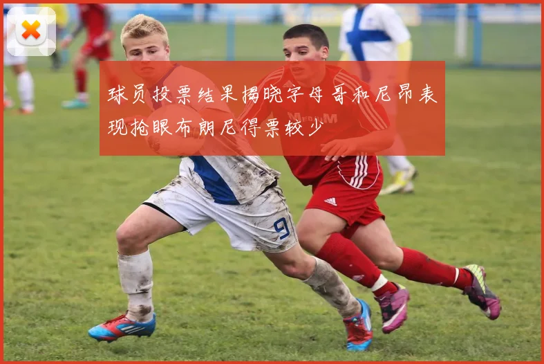 球员投票结果揭晓字母哥和尼昂表现抢眼布朗尼得票较少